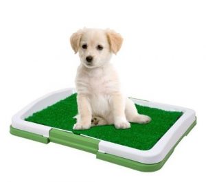 Toaleta pre psíkov-Puppy potty pad